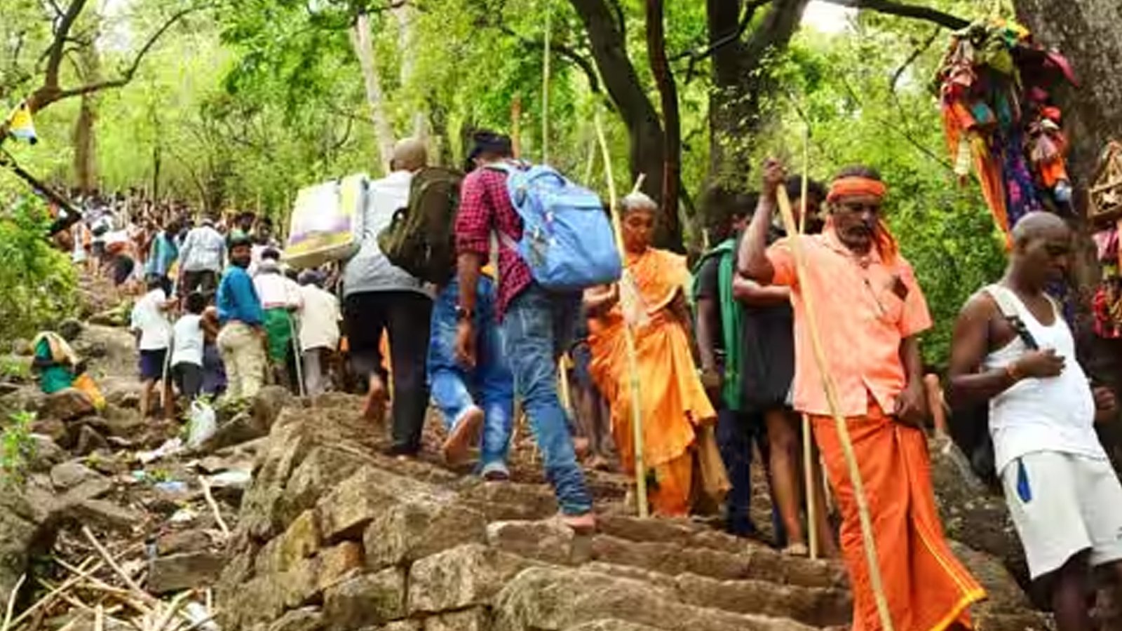 சித்ரா பௌர்ணமி: வெள்ளியங்கிரி மலை மற்றும் தஞ்சை பெரிய கோவிலில் குவிந்த பக்தர்கள் - அரோகரா முழக்கத்துடன் சுவாமி தரிசனம்!