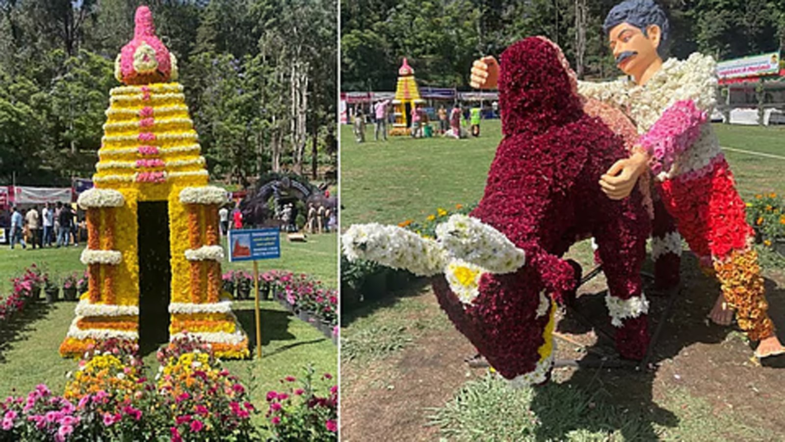மலைகளின் இளவரசி கொடைக்கானலில் இன்று தொடங்கியது கோடை விழா! 10 நாட்கள் இன்னிசை, படகுப் போட்டிகளுடன் களைகட்டும் சுற்றுலா!