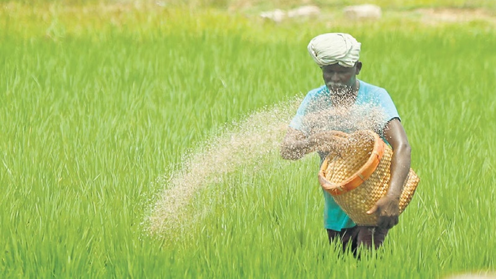 நிபந்தனையற்ற முழு தள்ளுபடி எங்கே?" - தவெக அரசின் அடுக்குமுறைப் பயிர்க்கடன் தள்ளுபடி அறிவிப்புக்கு விவசாயிகள் சங்கம் கடும் அதிருப்தி!