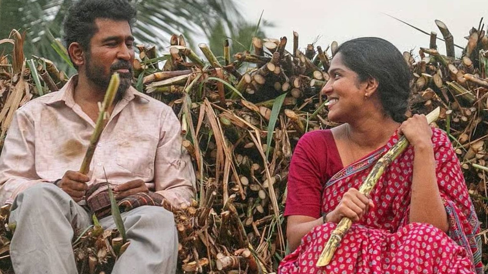 "இந்த வருடத்தின் சிறந்த படம்!" – விஜய் ஆண்டனியின் 'நூறு சாமி' படத்தை பார்த்து வியந்த இயக்குனர் எச்.வினோத்!