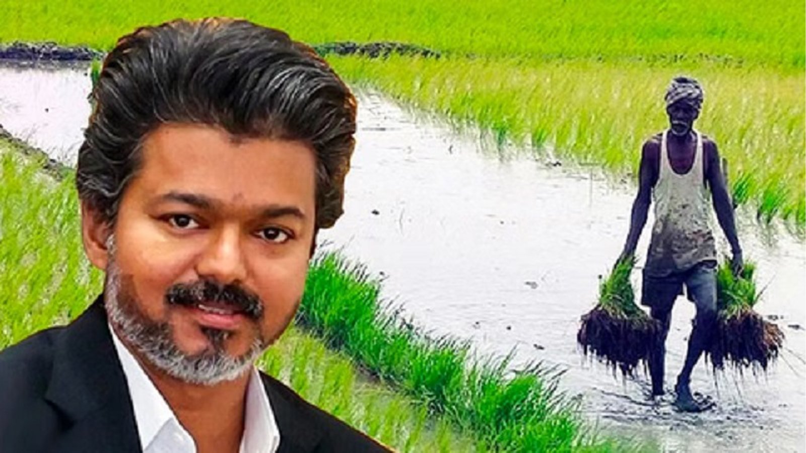 அரசு மற்றும் விவசாயச் செய்தி: கூட்டுறவு வங்கிகளில் ரூ.5,932.23 கோடி பயிர்க்கடன் தள்ளுபடி - 14.43 லட்சம் விவசாயிகள் பயன்பெறுவர்!