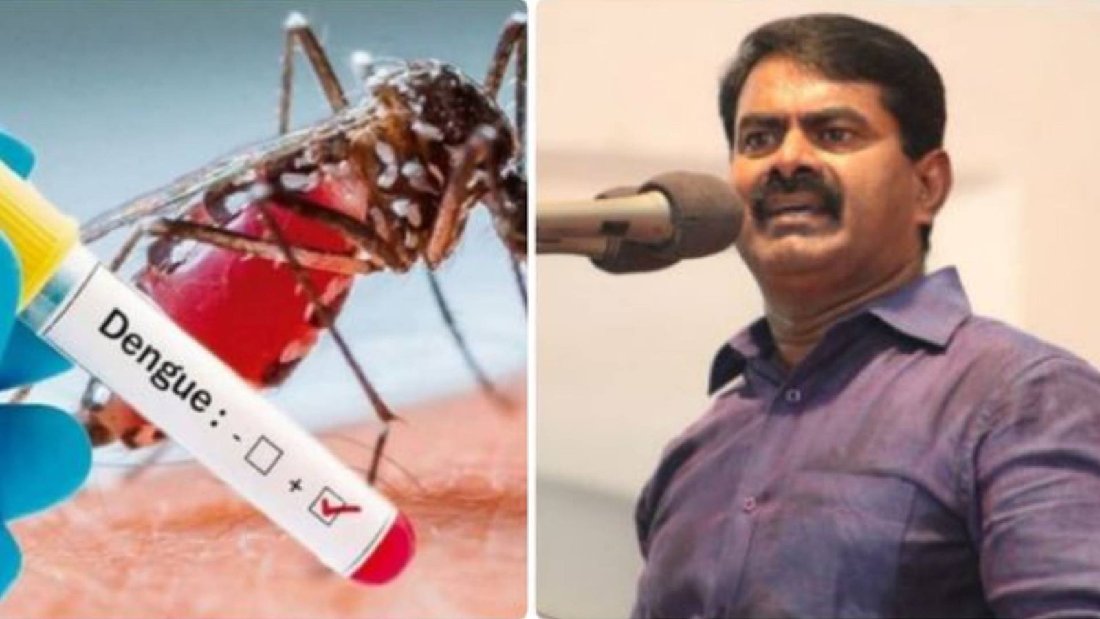 16 ஆயிரம் பேரை பாதித்த டெங்கு காய்ச்சல்: தவெக அரசின் அலட்சியப்போக்கு நிர்வாக சீர்கேட்டின் உச்சம் - சீமான் கண்டனம்!