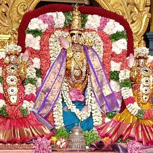 பண்ருட்டி வரதராஜ பெருமாள் கோயில் பிரம்மோற்சவம்: 5-ம் நாள் விழாவில் கருட வாகனத்தில் பெருமாள் திருவீதியுலா!