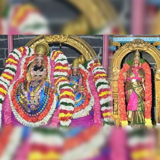 திருவண்ணாமலையில் பரபரப்பு: ஆட்சியர் உத்தரவிட்டுச் சென்ற அடுத்த நிமிடமே கிரிவலப் பாதையில் மீண்டும் முளைத்த கடைகள்! ஆக்கிரமிப்பாளர்களால் பக்தர்கள் அவதி!