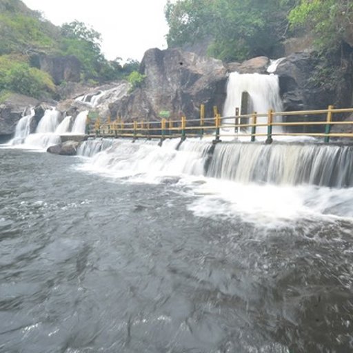 மணிமுத்தாறு அருவியில் 2-வது நாளாகக் கரைபுரளும் வெள்ளம்! மேற்கு தொடர்ச்சி மலையில் கொட்டும் கனமழை: சுற்றுலாப் பயணிகள் குளிக்கத் தடை நீடிப்பு!