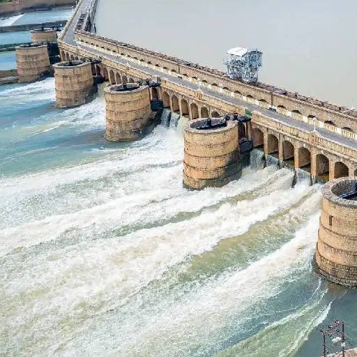 காவிரி விவகாரத்தில் தமிழக அரசுக்கு ஆதரவாக களமிறங்கிய விஜய்: தண்ணீர் உரிமை போராட்டத்தில் தமிழகம் ஒன்று சேர வேண்டும்