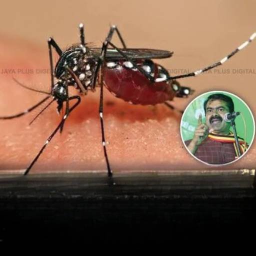 16 ஆயிரம் பேரை பாதித்த டெங்கு காய்ச்சல்: தவெக அரசின் அலட்சியப்போக்கு நிர்வாக சீர்கேட்டின் உச்சம் - சீமான் கண்டனம்!